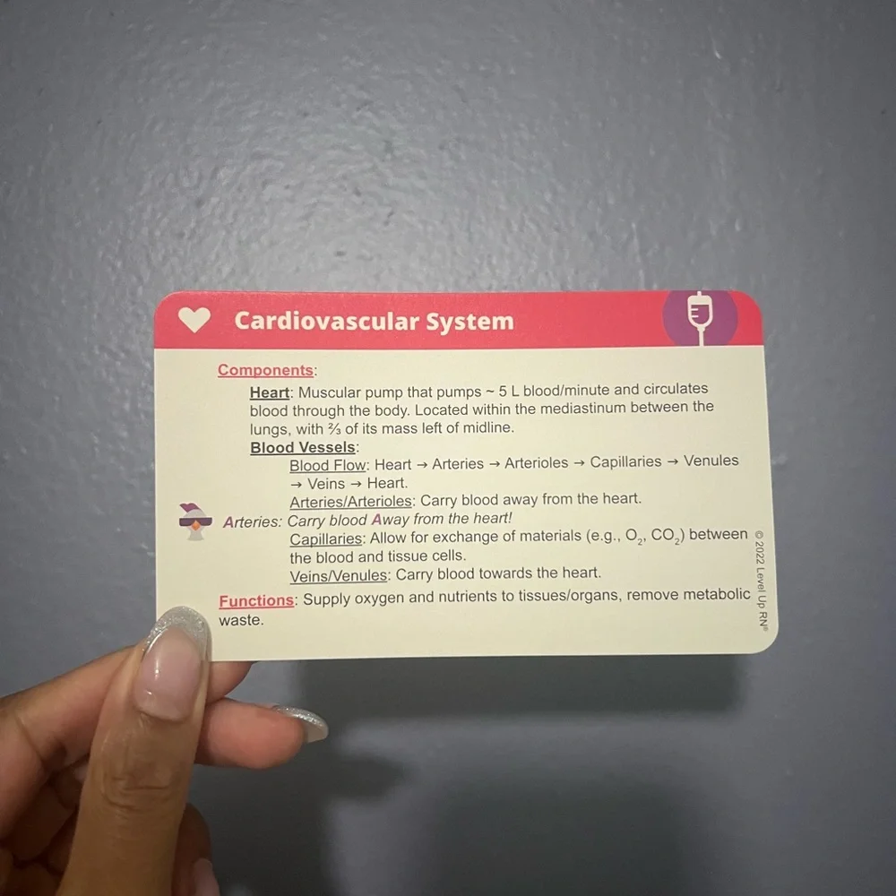 Level Up RN Medical-Surgical Nursing Flashcards